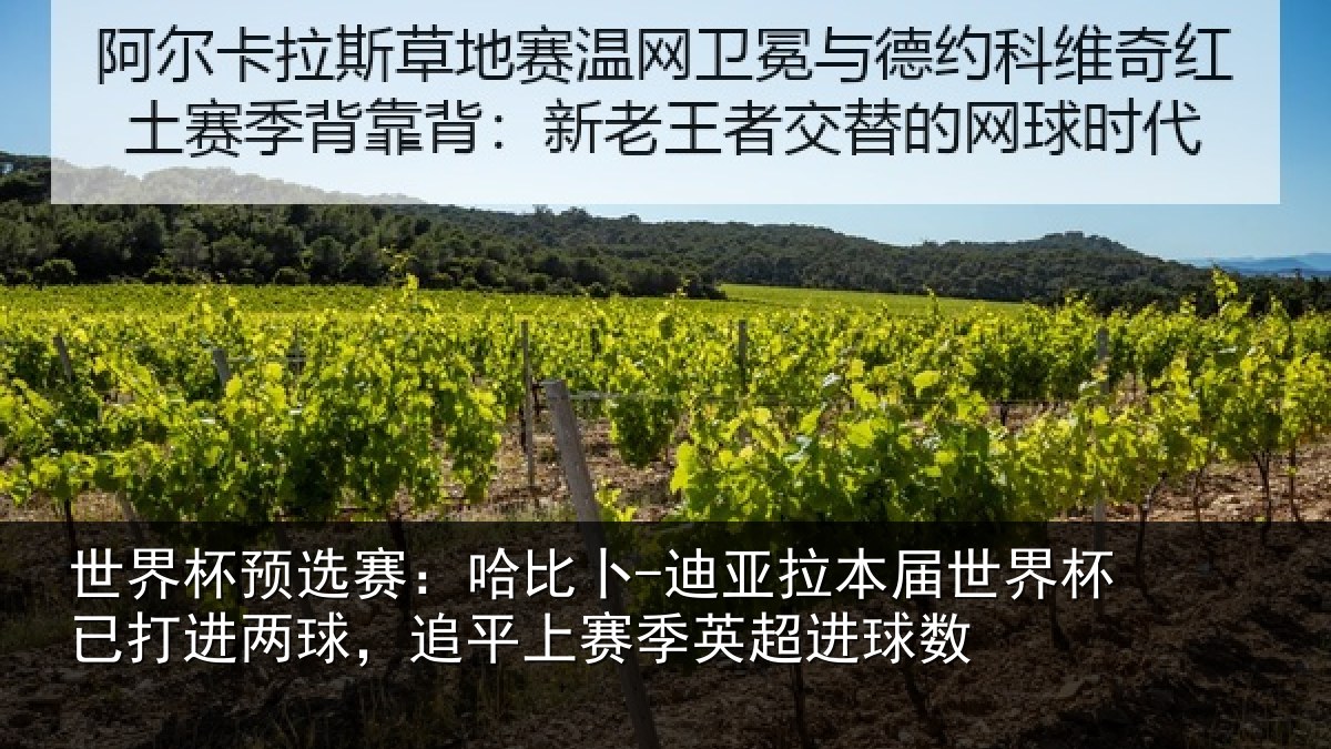 世界杯预选赛：哈比相关情况杯已相关情况季英超进球数