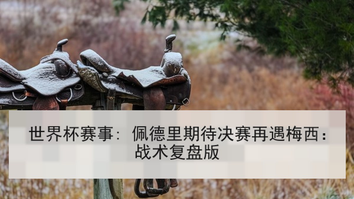 世界杯赛事: 佩德里期待决赛再遇梅西：战术复盘版