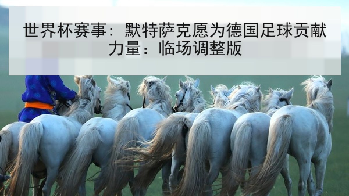 世界杯赛事: 默特萨克愿为德国足球贡献力量：临场调整版