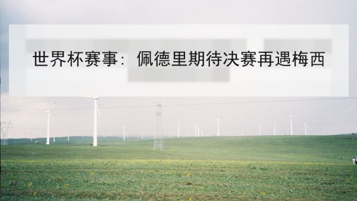 世界杯赛事: 佩德里期待决赛再遇梅西