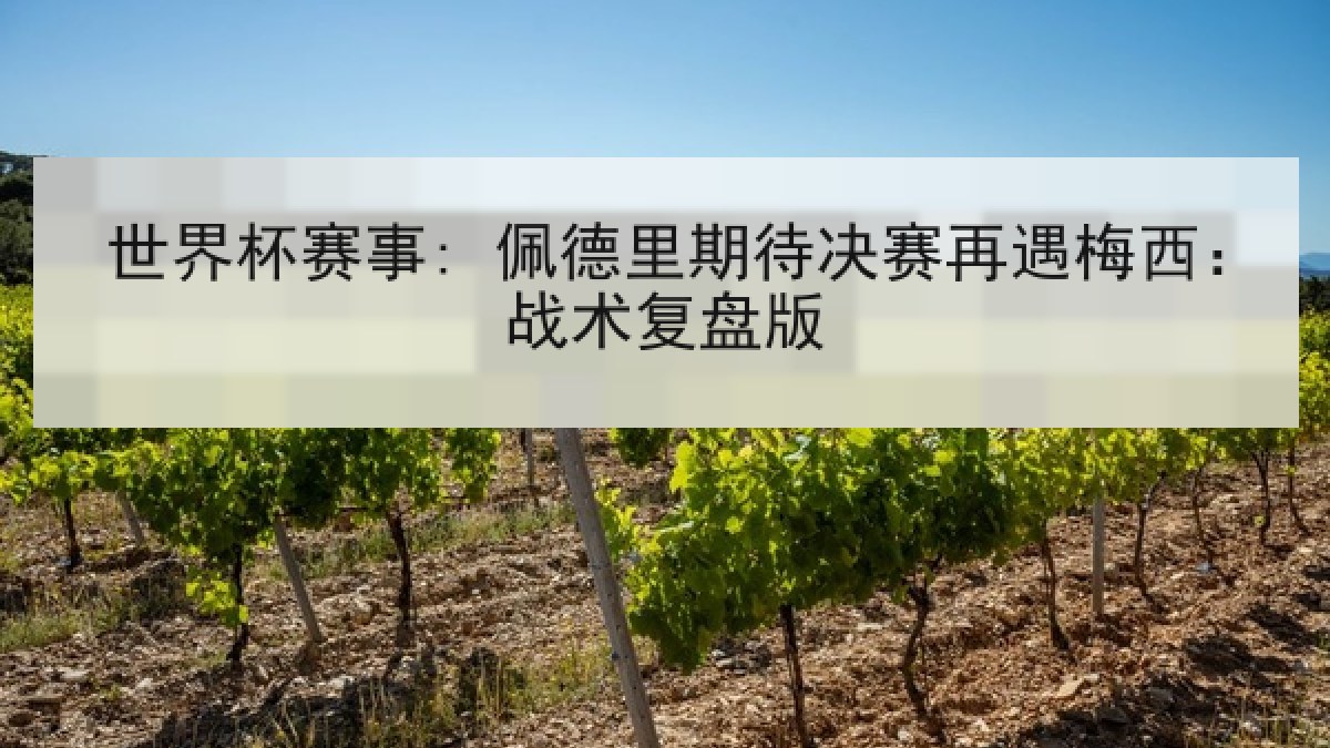 世界杯赛事: 佩德里期待决赛再遇梅西：战术复盘版