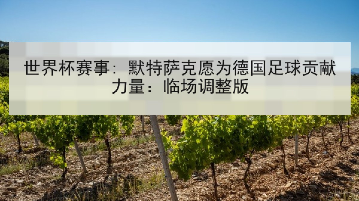 世界杯赛事: 默特萨克愿为德国足球贡献力量：临场调整版