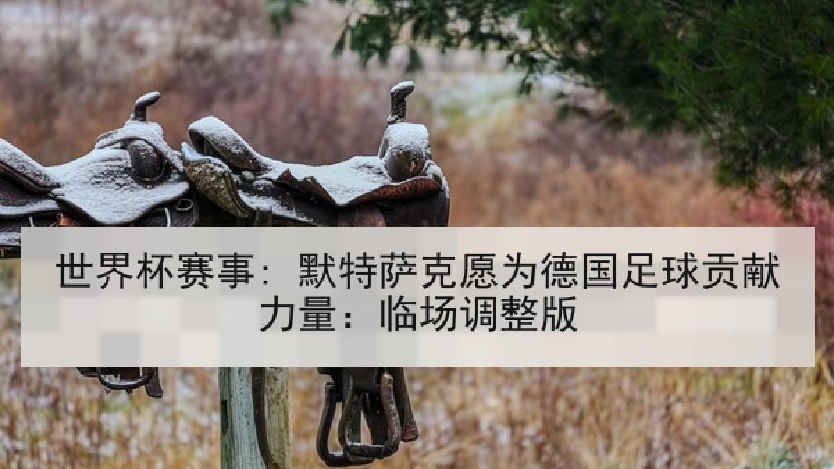 世界杯赛事: 默特萨克愿为德国足球贡献力量：临场调整版