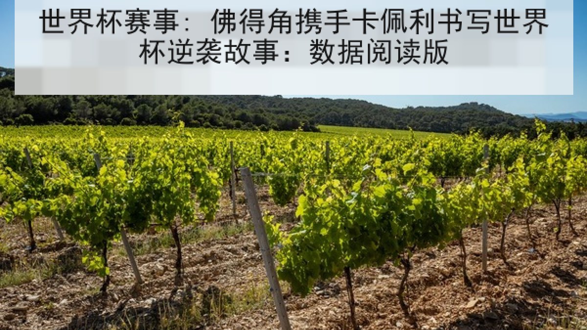 世界杯赛事: 佛得角携手卡佩利书写世界杯逆袭故事：数据阅读版