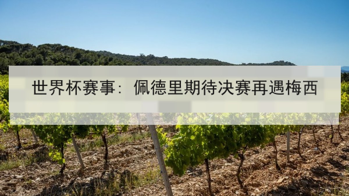 世界杯赛事: 佩德里期待决赛再遇梅西