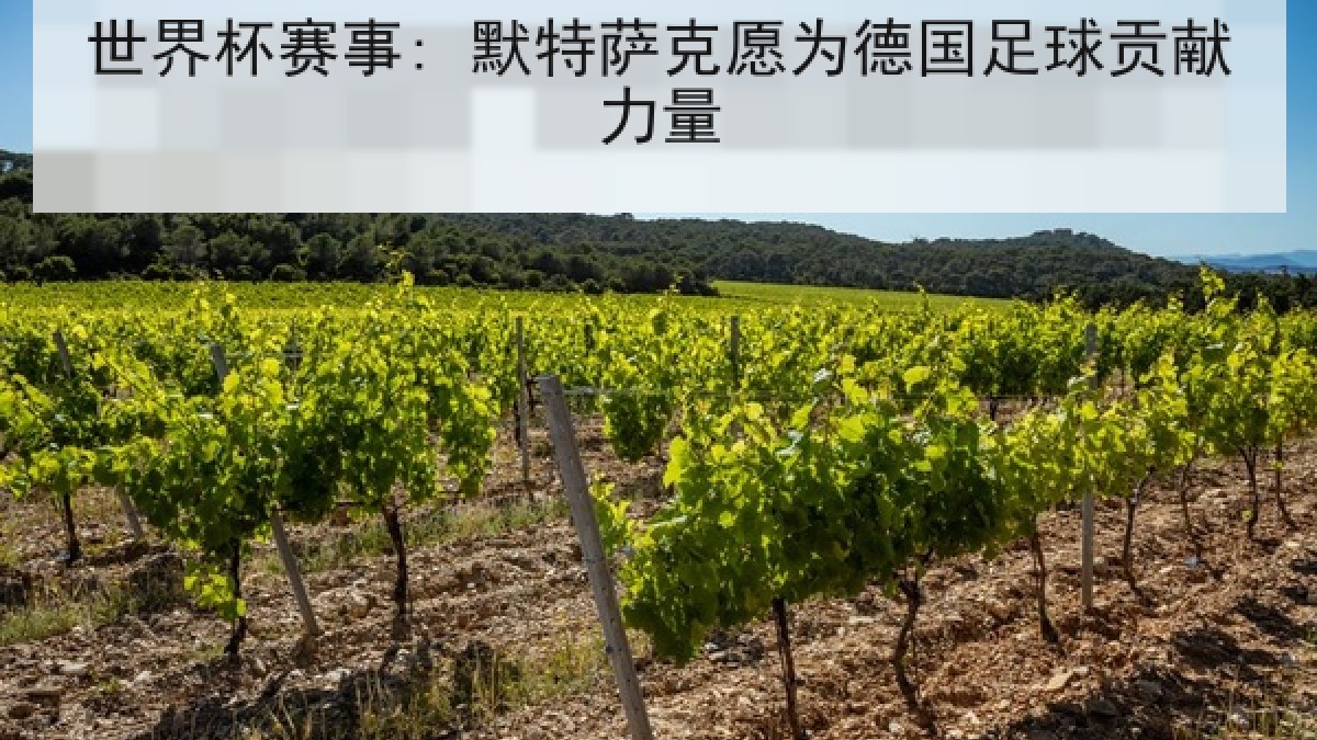 世界杯赛事: 默特萨克愿为德国足球贡献力量
