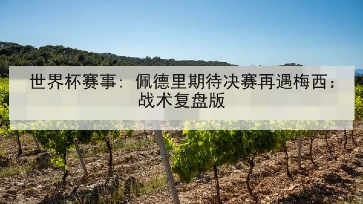 世界杯赛事: 佩德里期待决赛再遇梅西：战术复盘版