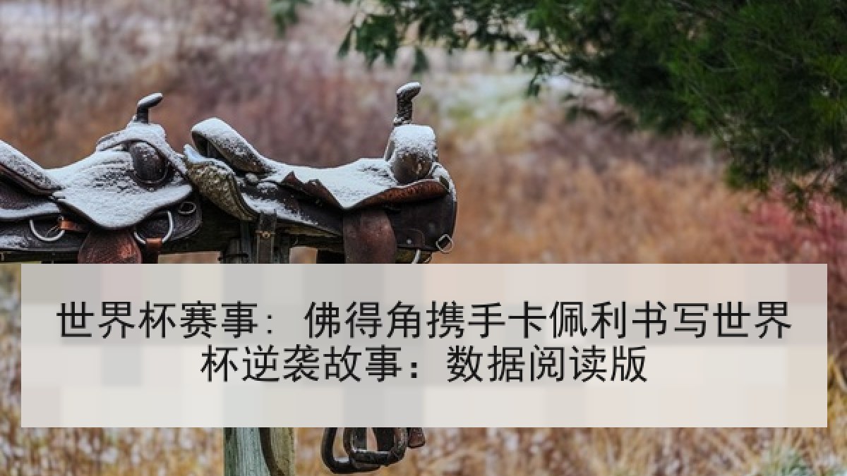 世界杯赛事: 佛得角携手卡佩利书写世界杯逆袭故事：数据阅读版