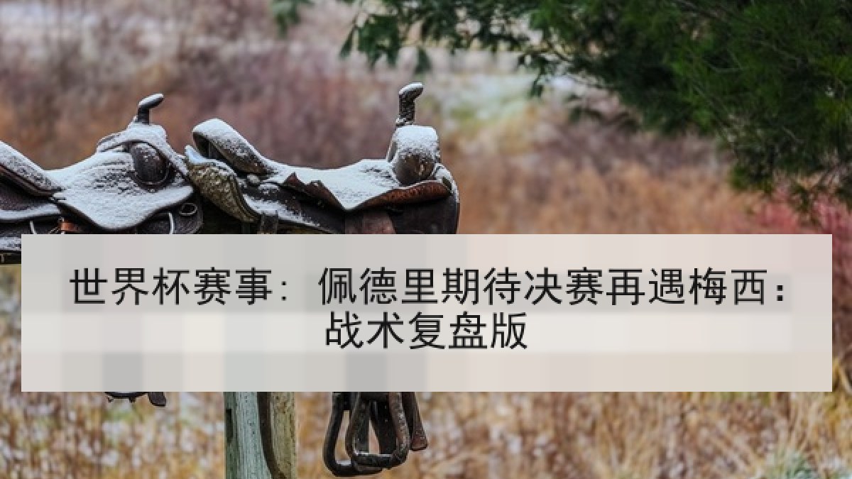 世界杯赛事: 佩德里期待决赛再遇梅西：战术复盘版