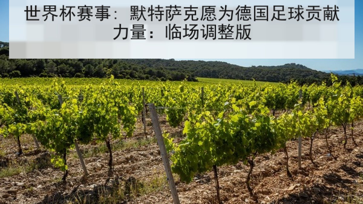 世界杯赛事: 默特萨克愿为德国足球贡献力量：临场调整版