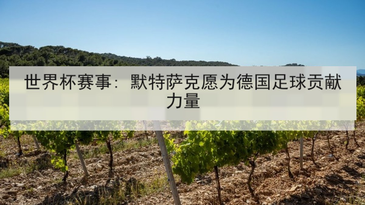 世界杯赛事: 默特萨克愿为德国足球贡献力量