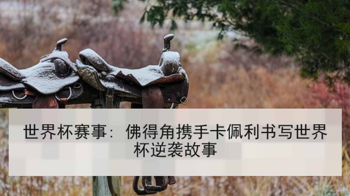 世界杯赛事: 佛得角携手卡佩利书写世界杯逆袭故事