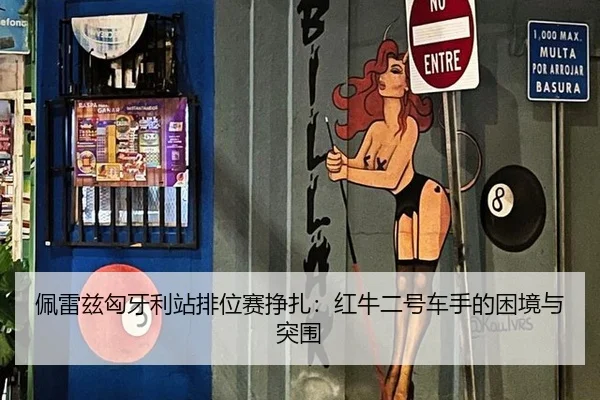 pei-lei-zi-xiong-ya-li-zhan-pai-wei-sai-zheng-zha-hong-niu-er-hao-che-shou-de-kun-jing-yu-tu-wei-3-396.jpg