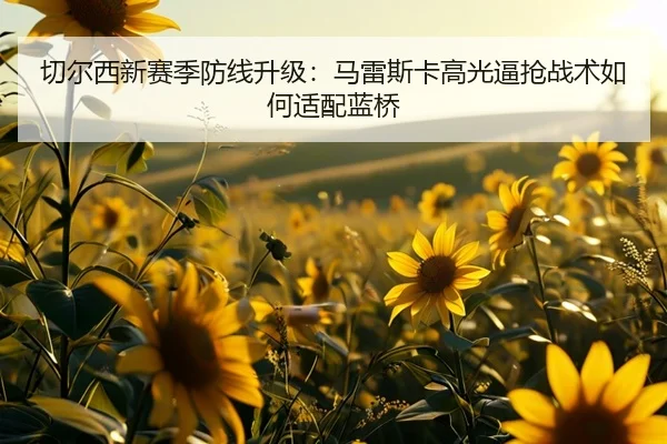 切尔西新赛季防线升级：马雷斯卡高光逼抢战术如何适配蓝桥