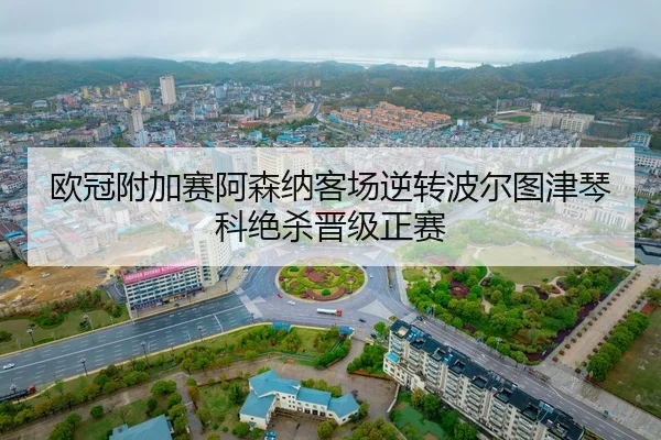 ou-guan-fu-jia-sai-a-sen-na-ke-chang-ni-zhuan-bo-er-tu-jin-qin-ke-jue-sha-jin-ji-zheng-sai-2-791.jpg