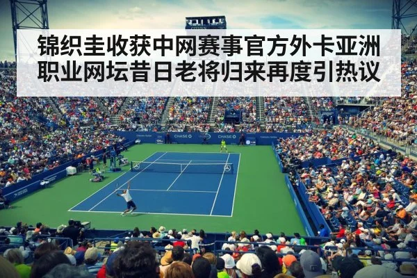 锦织圭收获中网赛事官方外卡亚洲职业网坛昔日老将归来再度引热议